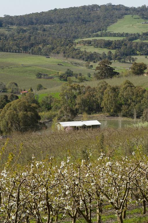 Отель Borrodell Vineyard Ориндж Экстерьер фото