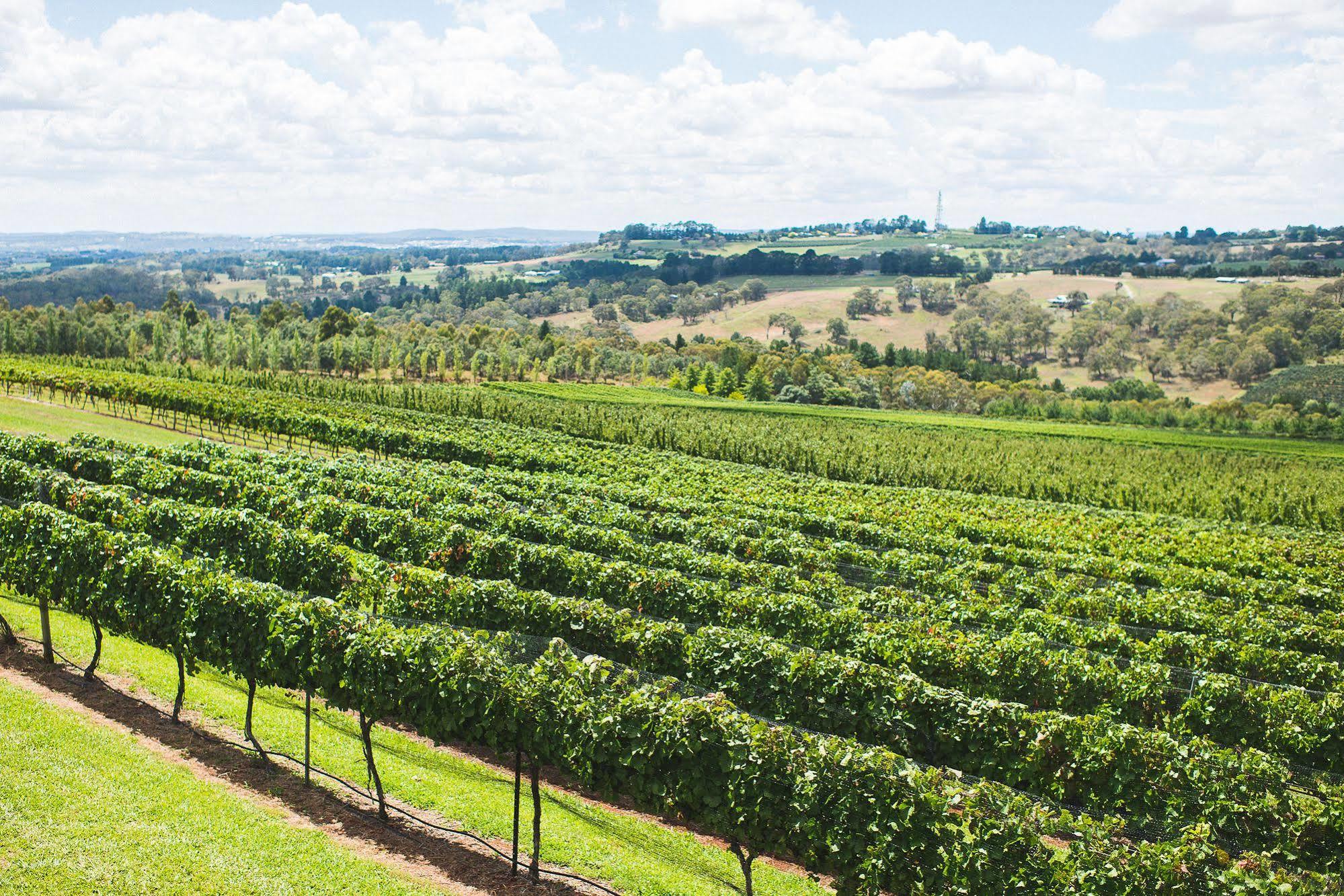 Отель Borrodell Vineyard Ориндж Экстерьер фото